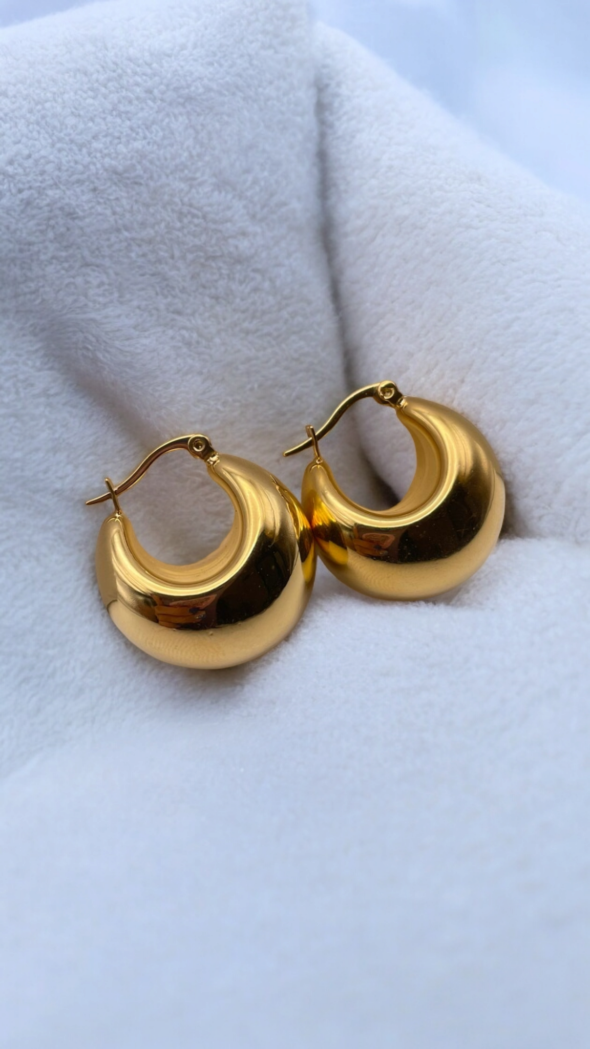 Stainless Steel Earrings