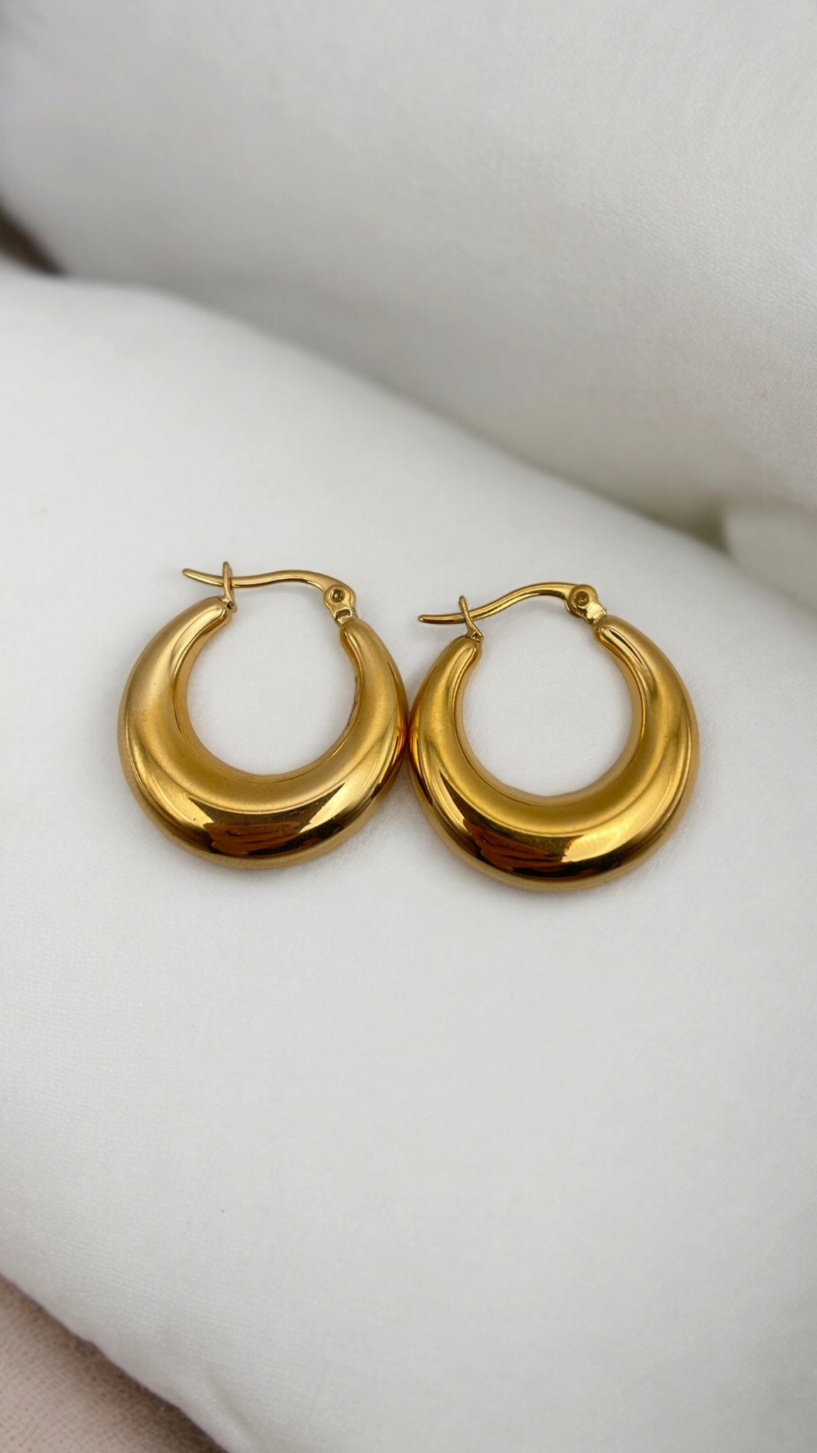 Stainless Steel Earrings