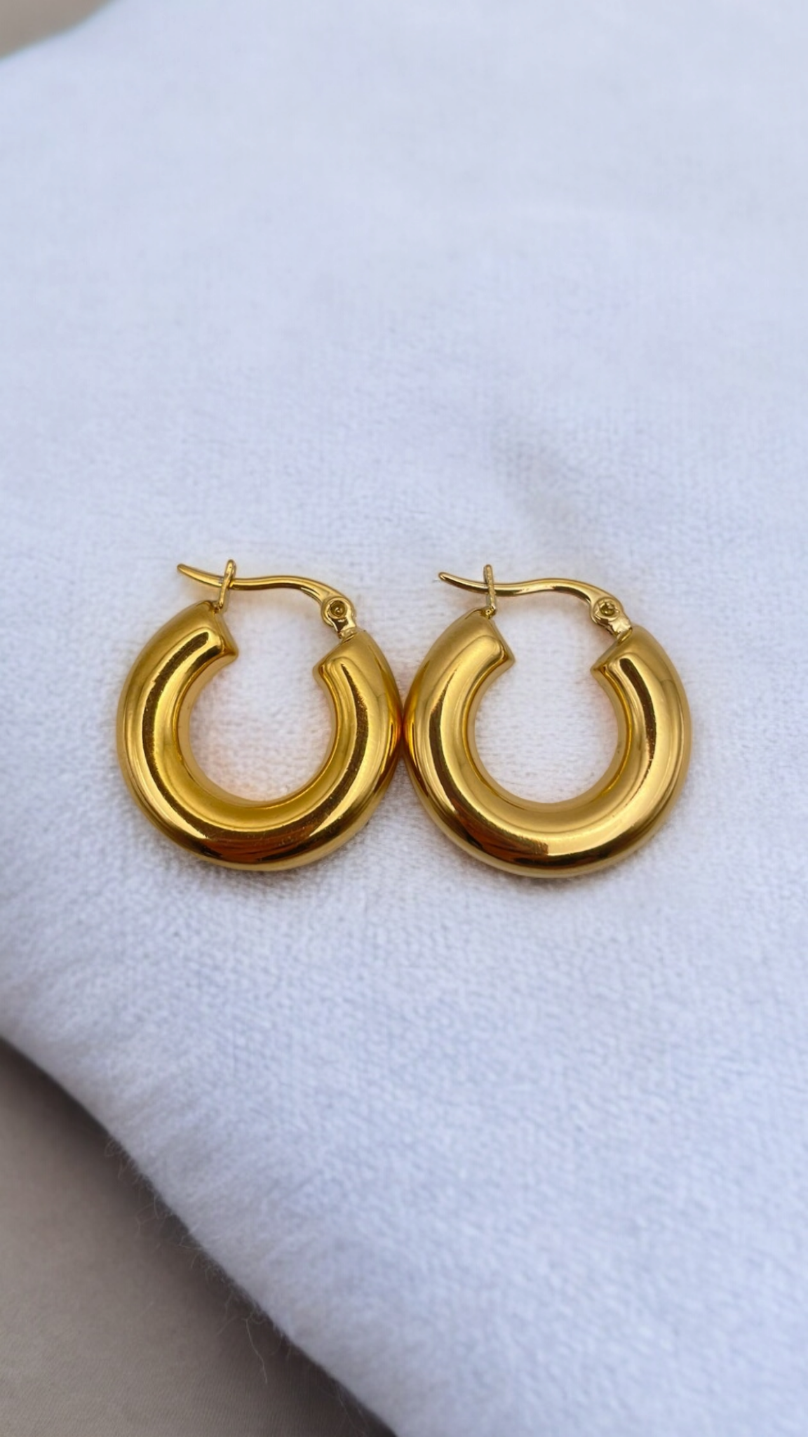 Stainless Steel Earrings